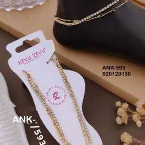 ank 593.jpeg