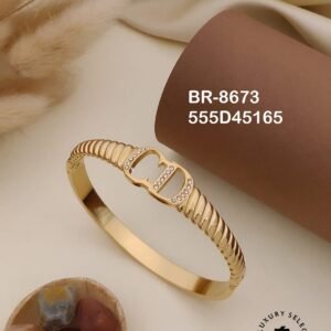 br 8673.jpg