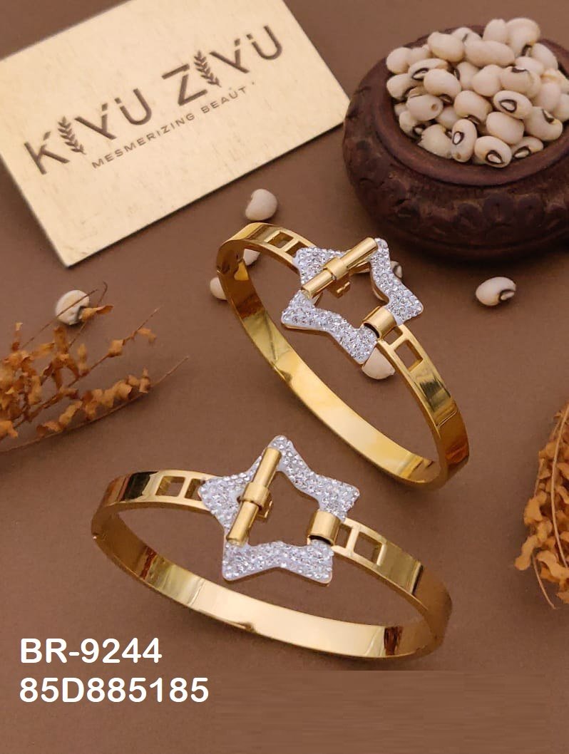br 9244.jpg br 9244.jpg