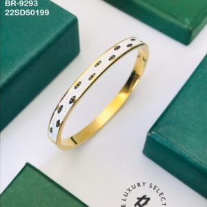 br 9293.jpeg