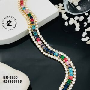 br 9850.jpg