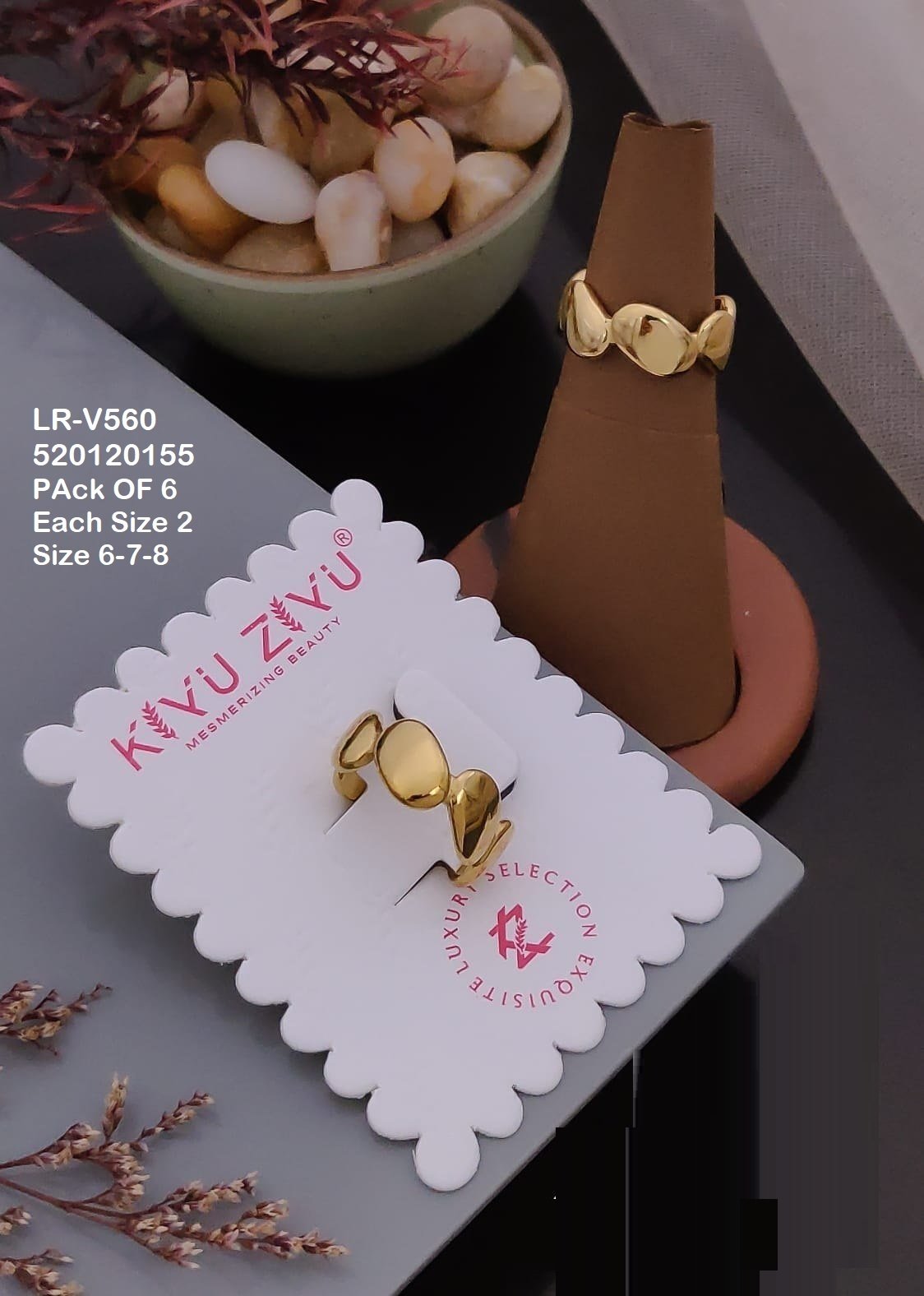 lr v560.jpg lr v560.jpg