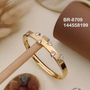 br 8709.jpg